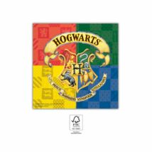 Harry Potter szalvéta - 33 cm x 33 cm, 20 db / csomag